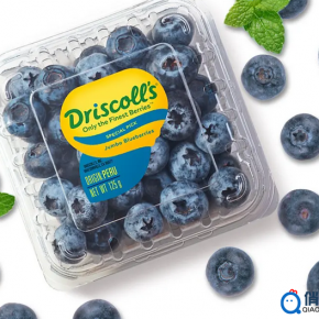 Driscoll's怡颗莓，蓝莓界的保时捷