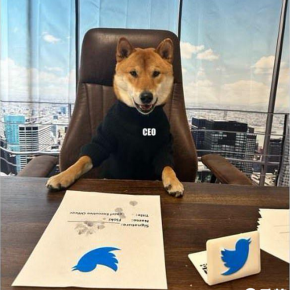 马斯克宣布自己的爱犬弗洛基为推特新CEO，并称盈利后将出售推特